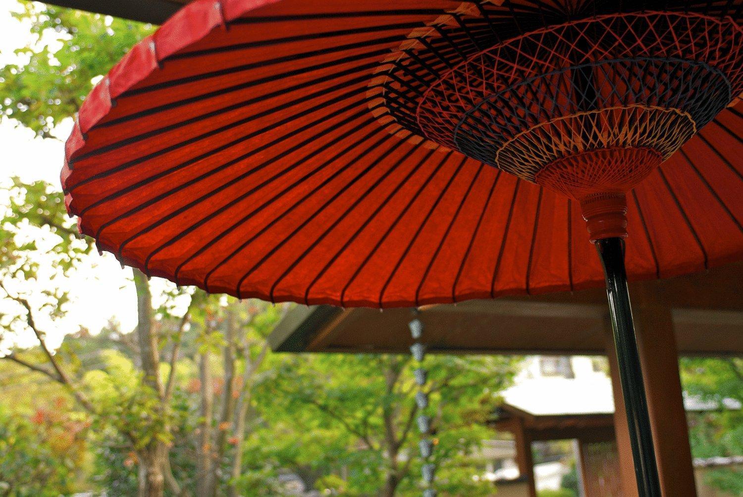 Ryokan Kiritani Hakoneso Экстерьер фото